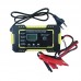 Зарядное устройство RJ Tianye 4-100 А/час с цифровым индикатором для авто аккумуляторов
