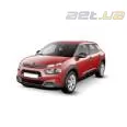 C4 Cactus (2018-2020)